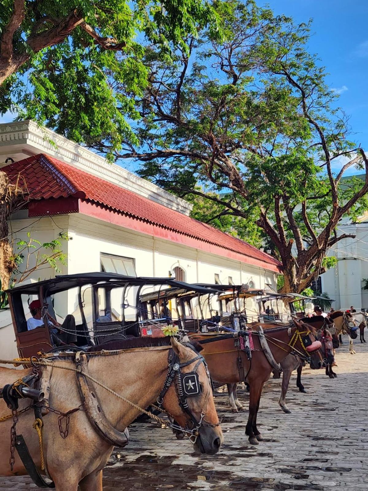 The Orange House - Vigan Villa Экстерьер фото